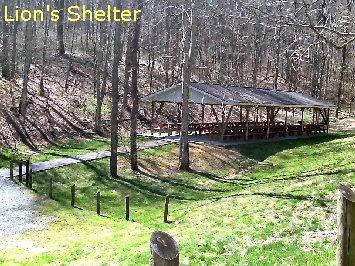Lion's Shelter