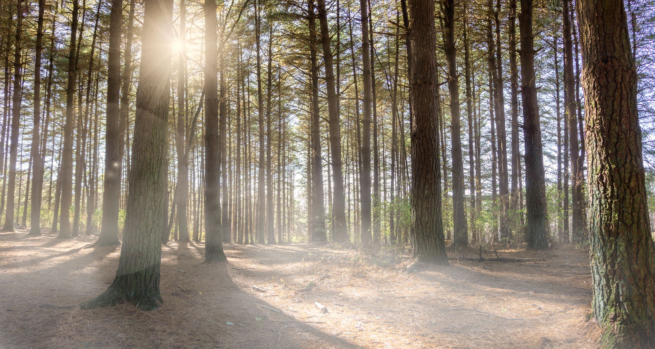 DSC02782-HDR-Pano-Edit